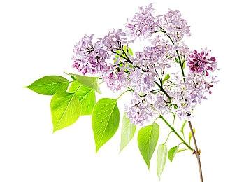 拳击游戏《无可争议》生涯模式现已正式开放